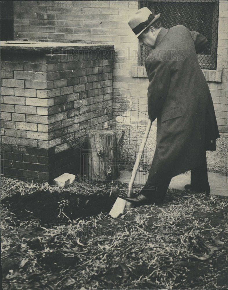 Press Photo Man Digging Hole Backyard Shovel - Historic Images