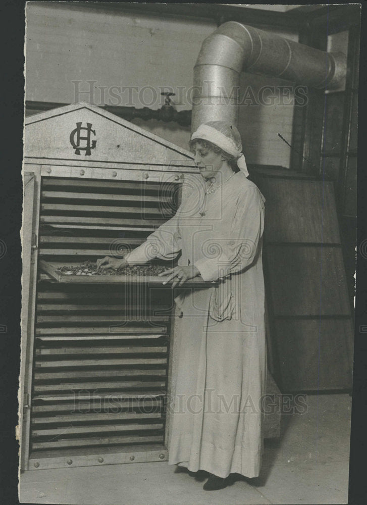 1918 Press Photo Mrs. Oliver Harriman - Historic Images