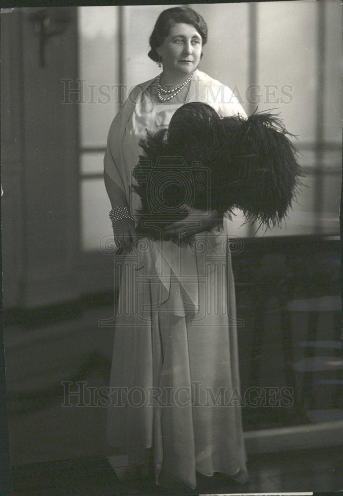 1931 Press Photo Senora Malbran, Wife of Ambassador - Historic Images