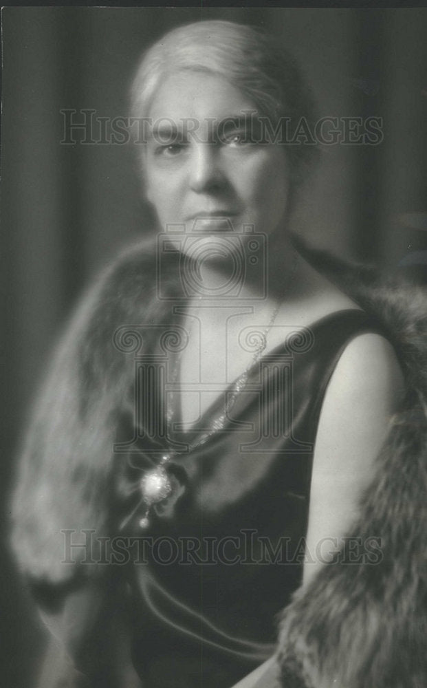 Press Photo Mrs. Grosvenor Host League Republican Women - Historic Images
