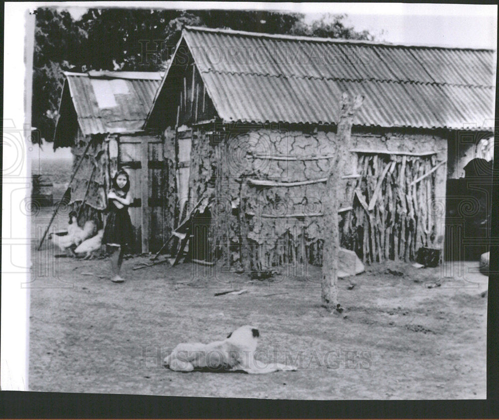 1963 Press Photo Alazan Home Mexico TIn Sticks Girk Dog - Historic Images