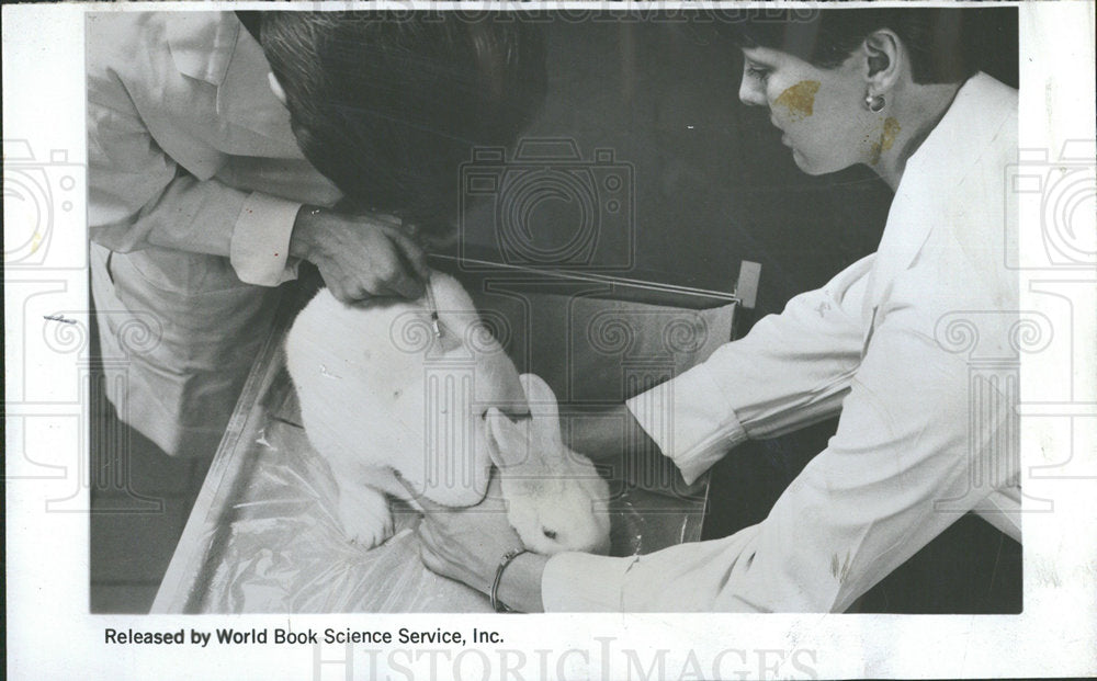 1967 Press Photo Vaccine Syphilis Decease Treatment - Historic Images