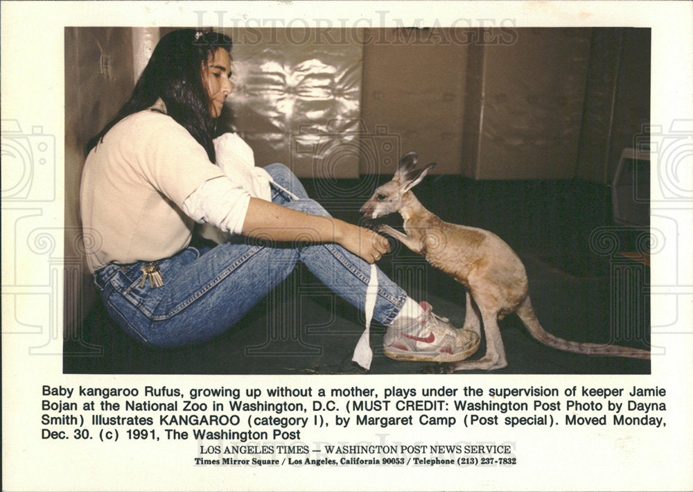 1992 Press Photo Jamie Bojan Zoo Keeper Washington Zoo - Historic Images