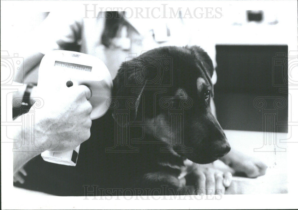 1992PressPhotoPettrac implants helps return of lost pet - Historic Images