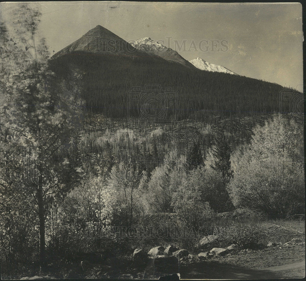 Press Photo Mountains hills cover grass trees rock fill - Historic Images