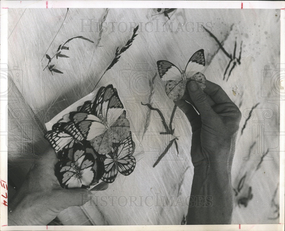 1952 Pan laminating plant New Jersey Union - Historic Images