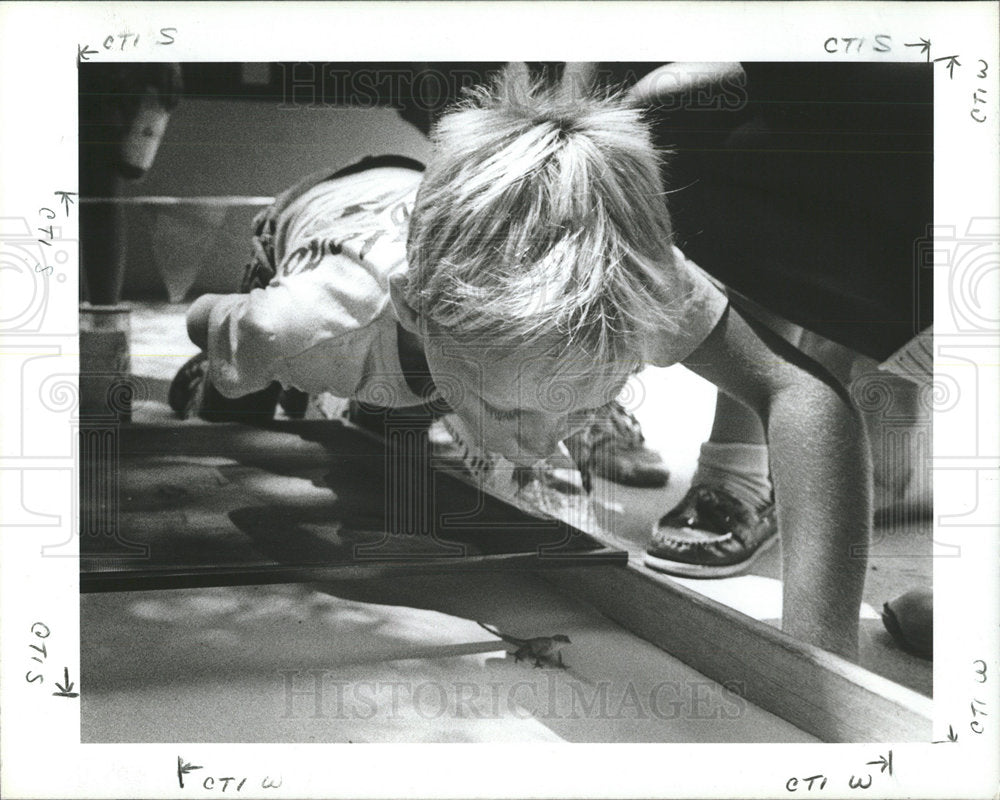 1987 Press Photo Crammer Roberts Community Center - Historic Images