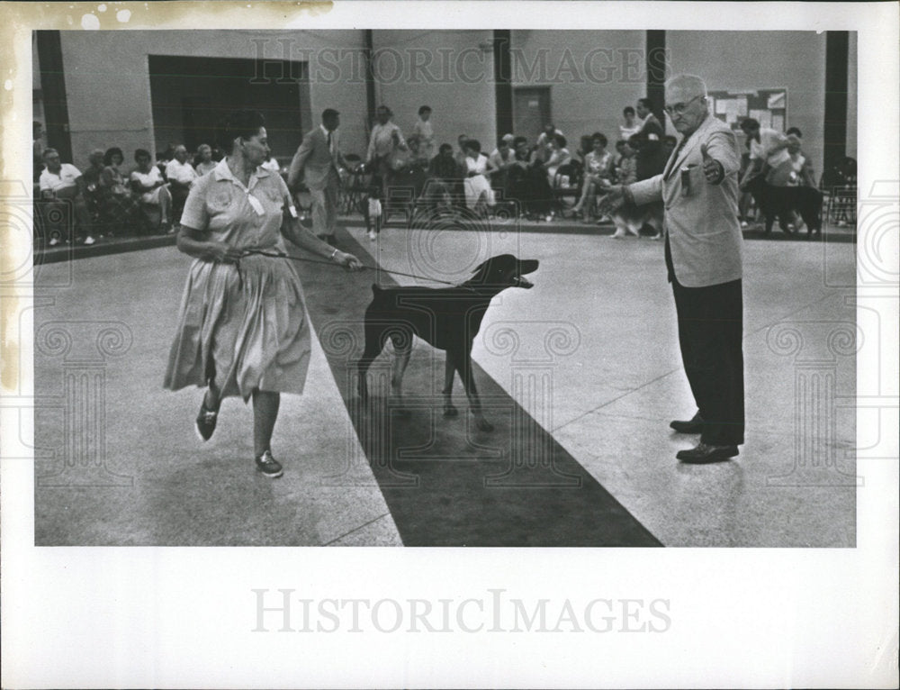 1963 Press Photo Doberman Pincher Indoor Dog Contest - Historic Images