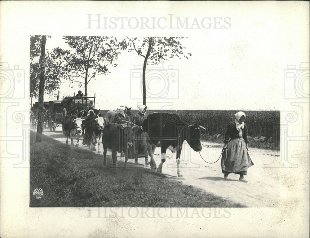 1918 Press Photo Refugees Fleeing Scene Along The Marne - Historic Images