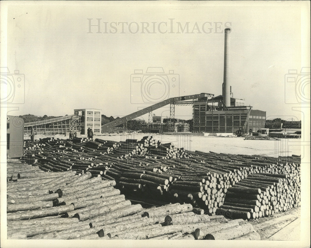 Press Photo Kraft Corporation Florida Pine Forest Logs - Historic Images