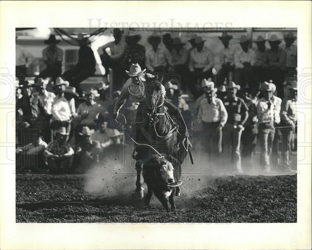1986 Press Photo Roping Fiesta Rodeo At San Angelo, TX - Historic Images