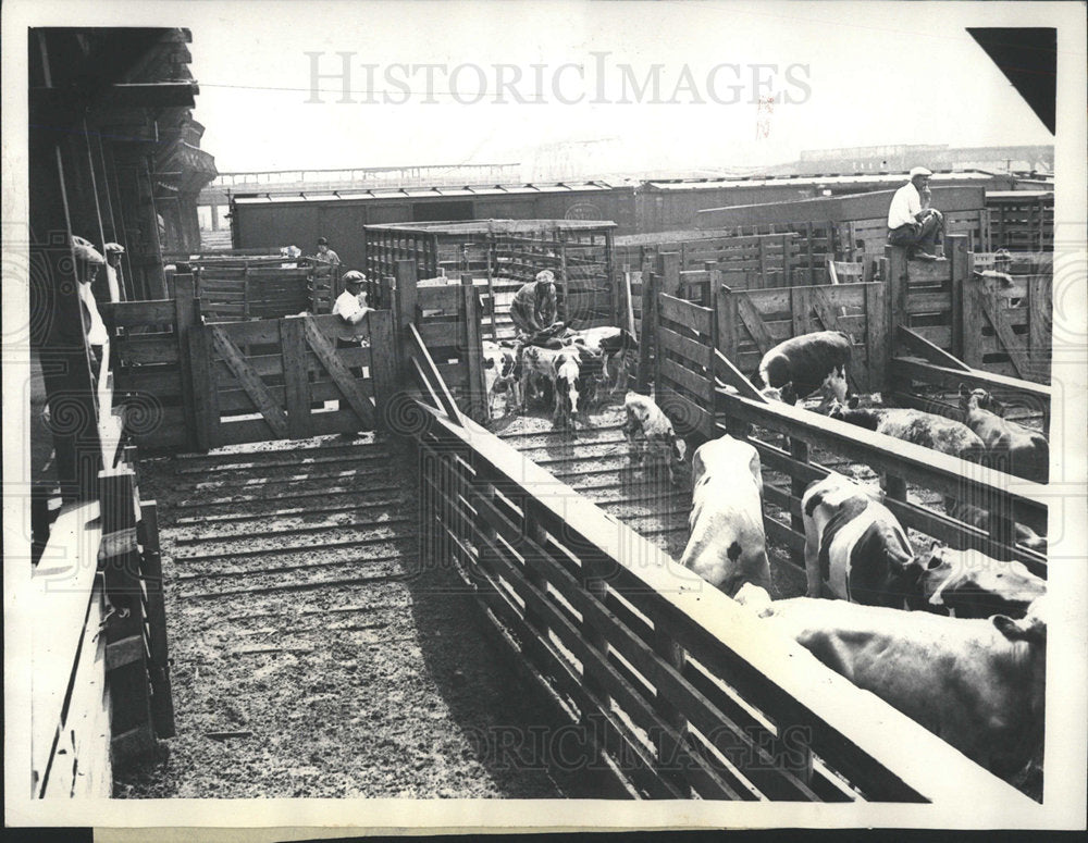 1934 Press Photo Chicago Stock Yards Strike  - Historic Images
