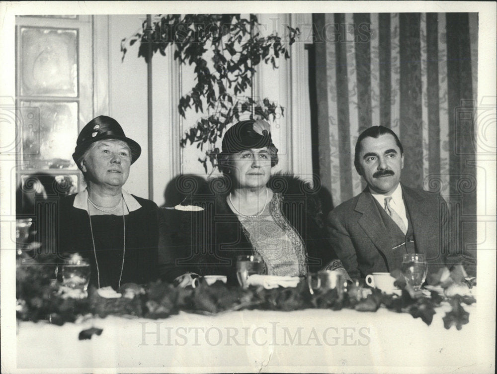 1931 Press Photo Mrs. Woodrow Wilson/Women&#39;s Democratic - Historic Images