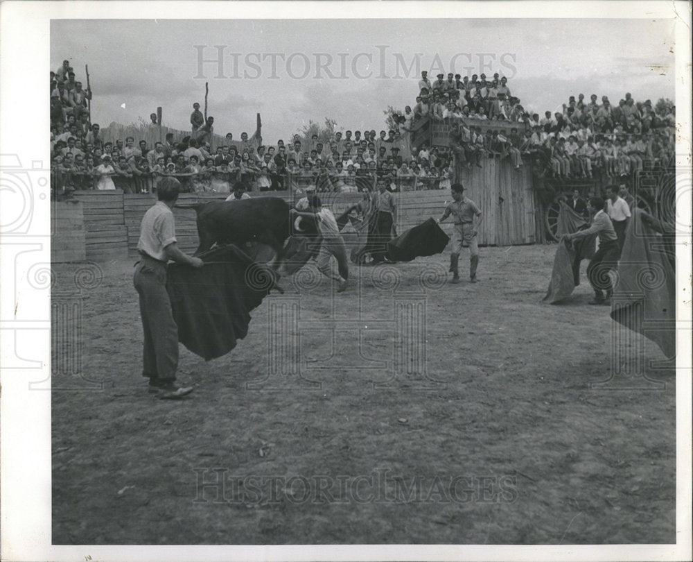 Press Photo Bullfighting Thrilling Illegal Sport Mich - Historic Images