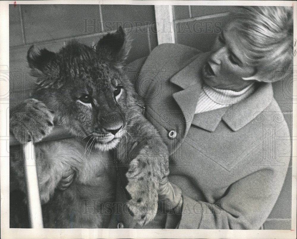 1967 Press Photo Mrs. Van Schaack &amp; Pet Lion, Nekoosa - Historic Images