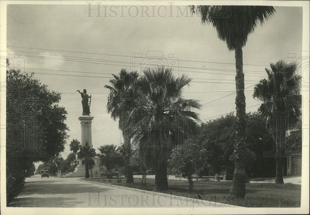 1932 Press Photo Galveston Palm Trees Oleanders Bloom - Historic Images