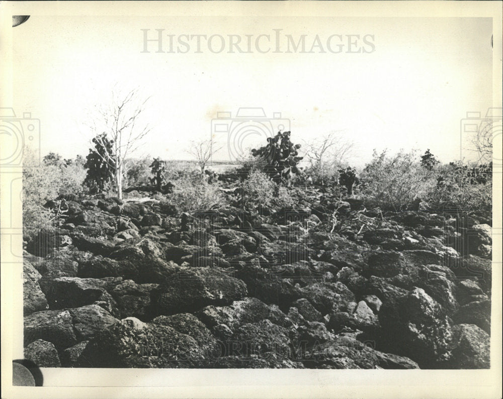 1937 Press Photo Galapagos Charles Island Rocks - Historic Images