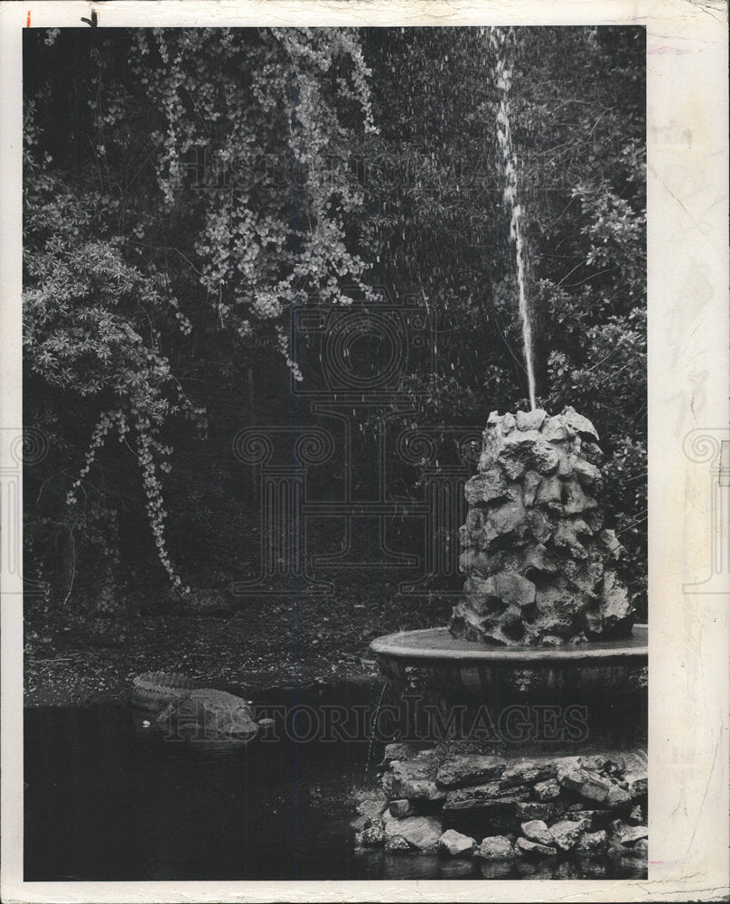 1976 Press Photo Alligator Near St.Petersburg Boyd Hill - Historic Images