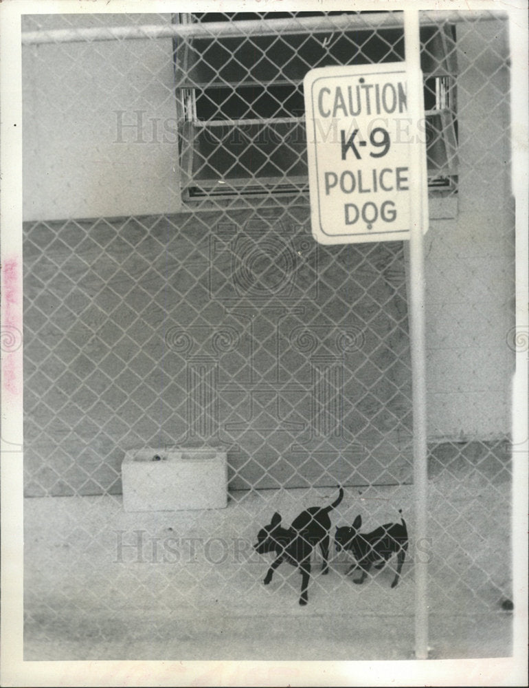 1972 Press Photo Dogs From Bradenton Police Department - Historic Images