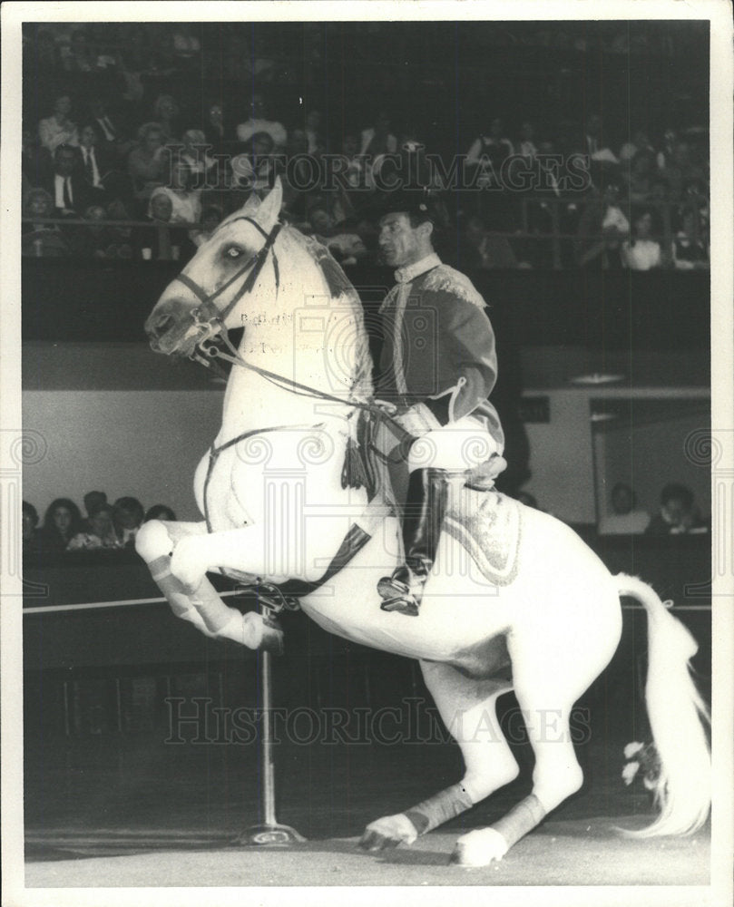 1972 Press Photo Lipizzan Stallion Performs The Levade - Historic Images