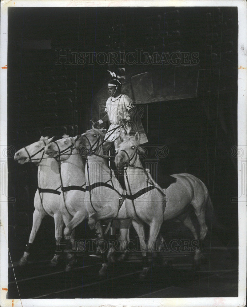 1971 Press Photo Horse Lipizzan - Historic Images