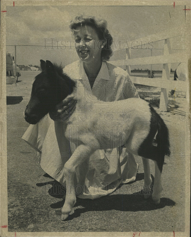 1961 Beverly Britt Susie Q Shetland Pony - Historic Images
