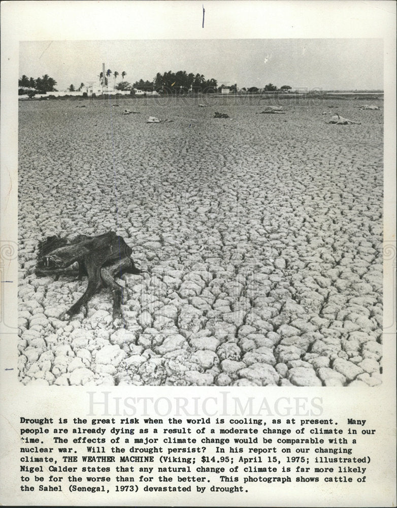 1975 Press Photo Drought is the Great Risk for World - Historic Images