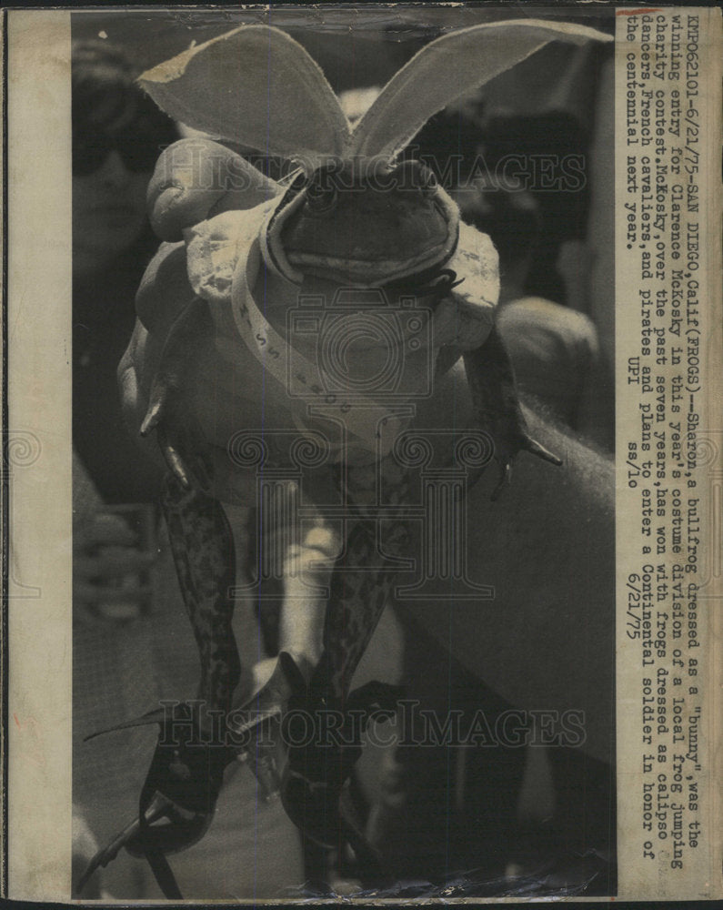 1975 Press Photo Sharon Clarence McKosky Frog Costume  - Historic Images