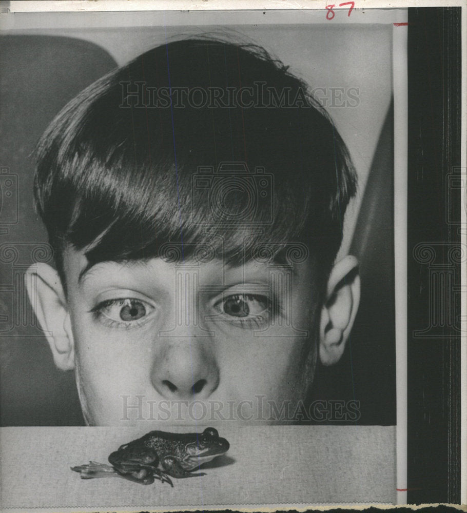 Press Photo Frog Front Children Table - Historic Images