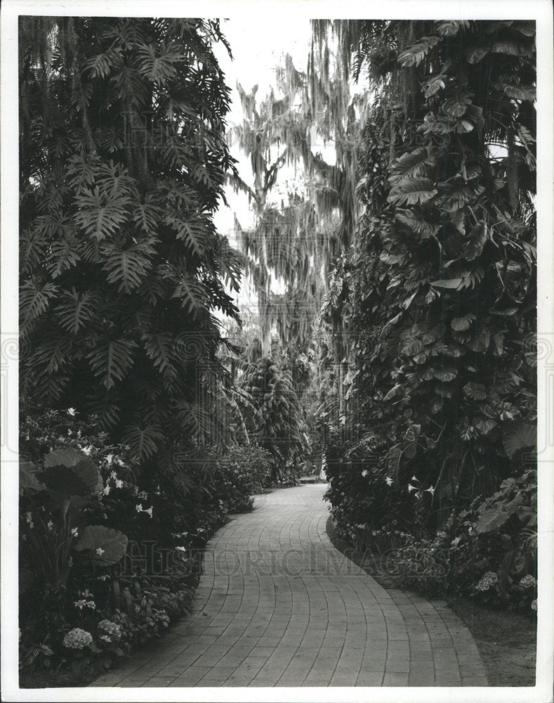 Florida Cypress Gardens - Historic Images
