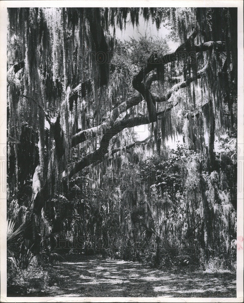 1963 Press Photo Trail Southwest Shore Lake Maggiorie - Historic Images