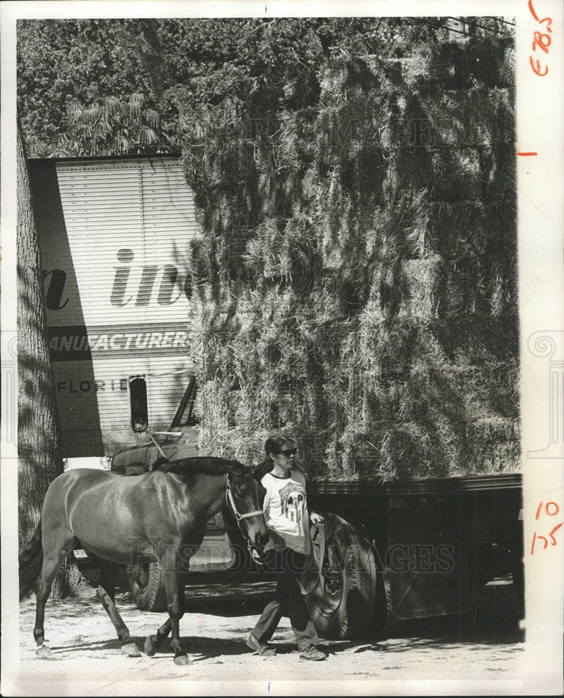 1974 Press Photo Horse Tournament Champions Florida  - Historic Images