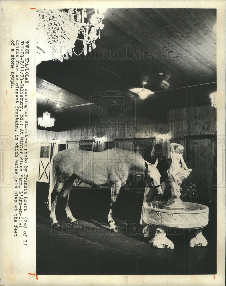 1973 Press Photo Winter Place Farm Cow Cattle - Historic Images