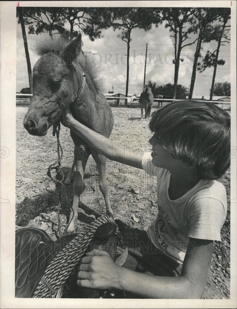 1972 Press Photo Horses Colt Pony Bobby Champ - Historic Images