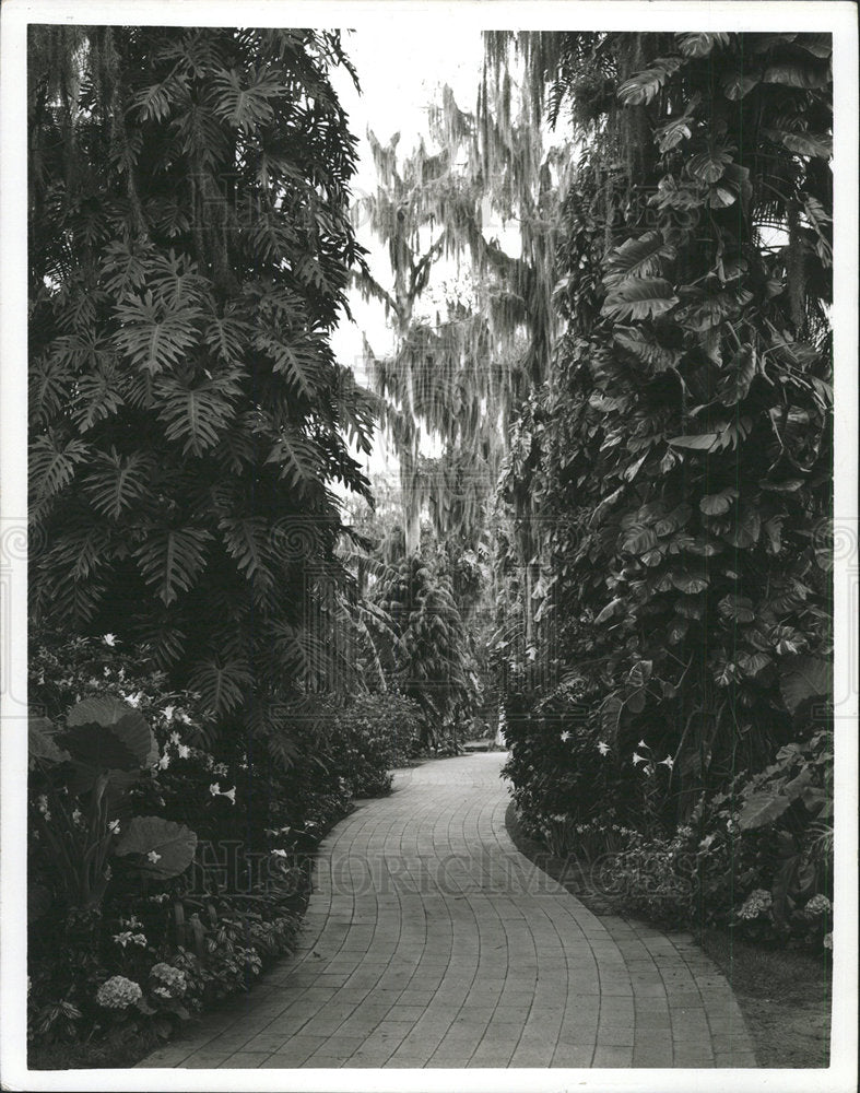 1968 Press Photo Florida Cypress Gardens - Historic Images