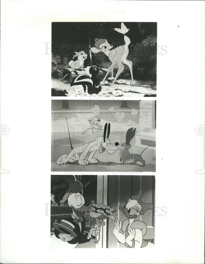 1984 Press Photo Thumper Flower Bambi Dog Cupid Pluto - Historic Images