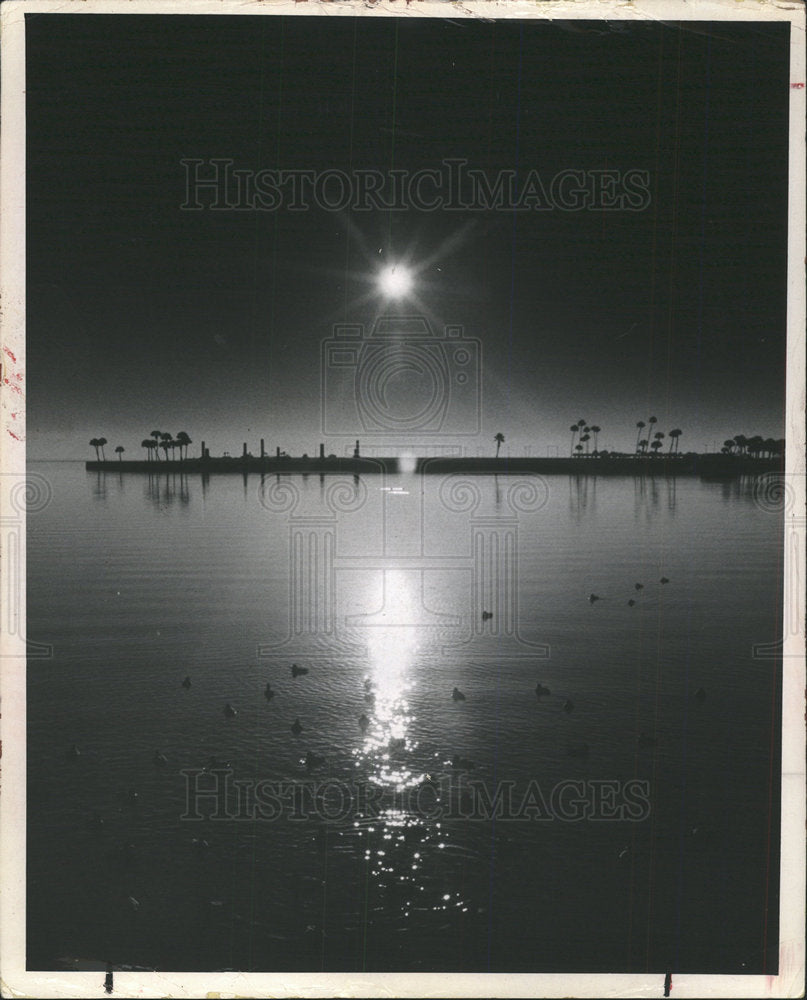 1969 Press Photo cruise ducks Vinoy Basin sun water - Historic Images