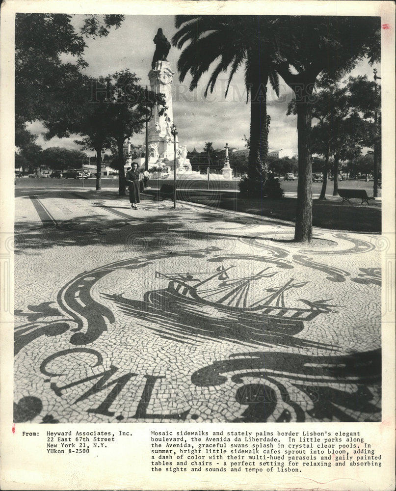 Press Photo Mosaic stately palm Lisbon Avenida Da walk  - Historic Images