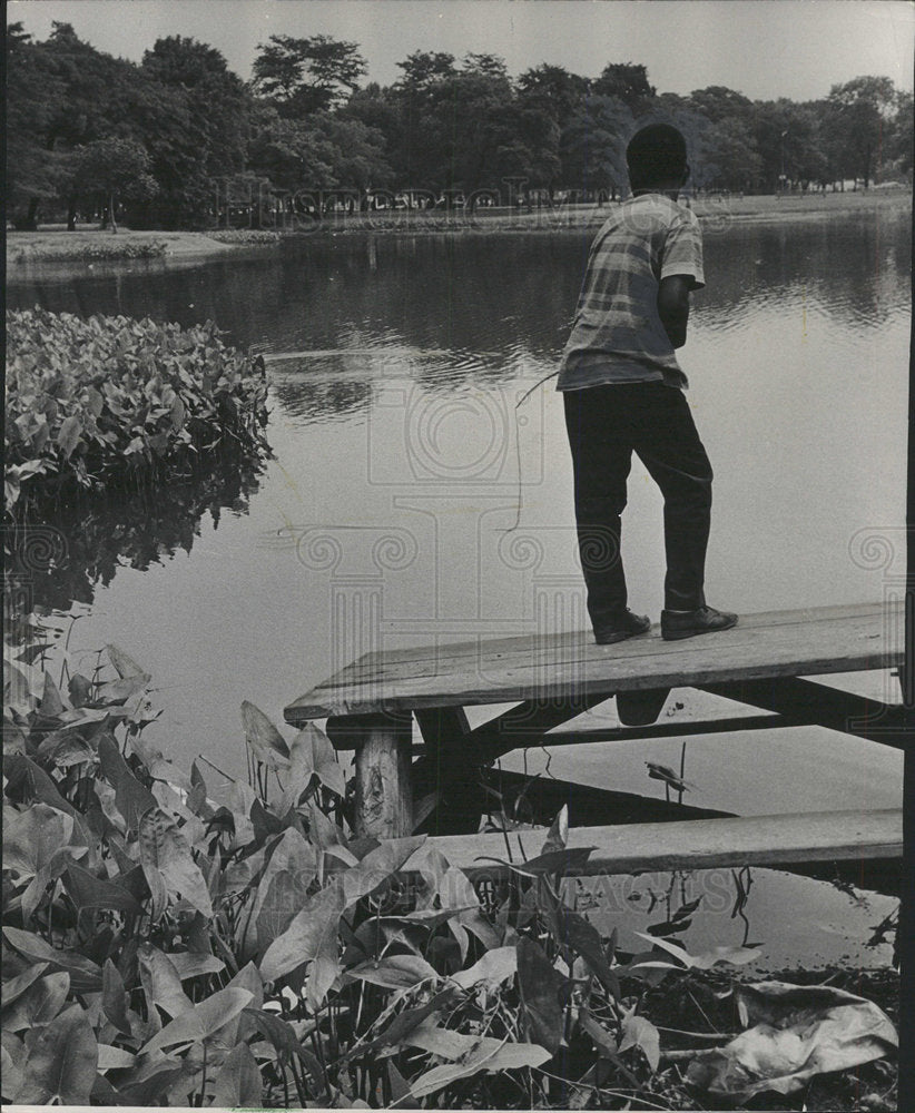 1966 Press Photo Richard Lockett picnic Douglas Park IL - Historic Images