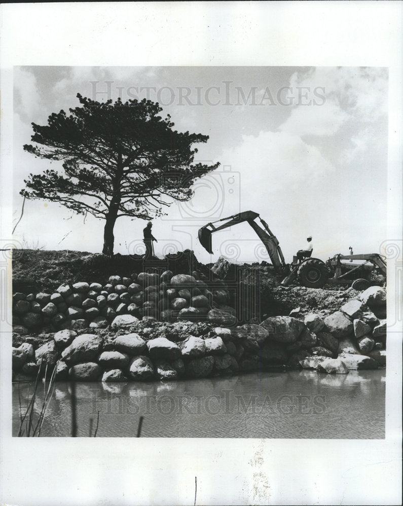 1973 Press Photo Ancient Tree Development Suburb Water - Historic Images