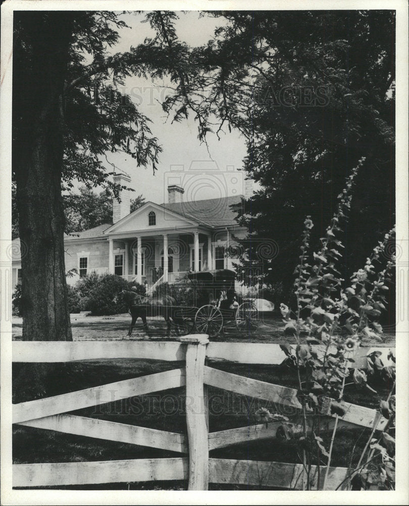 1981 Press Photo Dixie Belle Winchester Virginia Grove  - Historic Images
