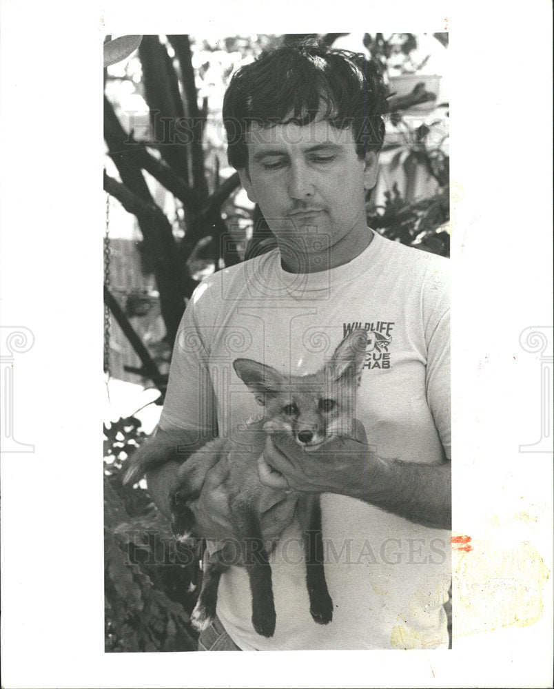 1983 Press Photo Bady Red Fox Largo Vernon Yates water  - Historic Images