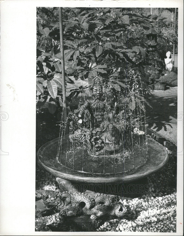 1974 Press Photo Sweeding Bonsai George Trabant Water  - Historic Images