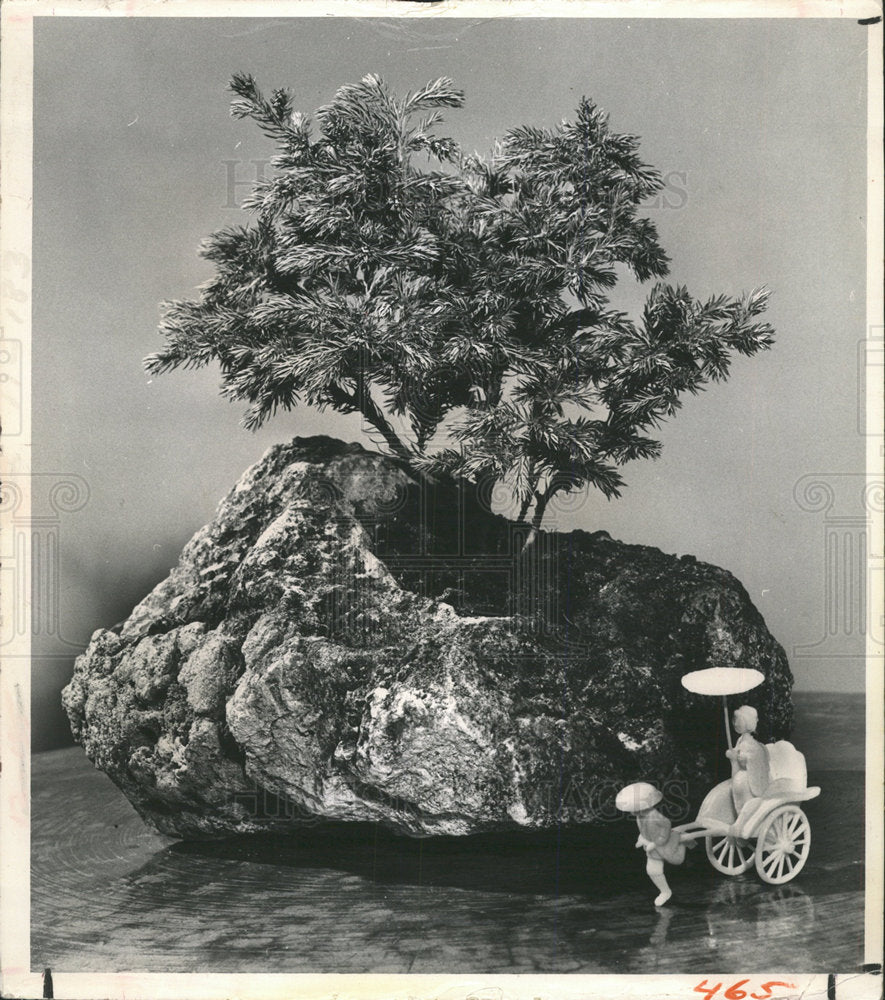 1964 Press Photo Bonsai Miniature Garden - Historic Images
