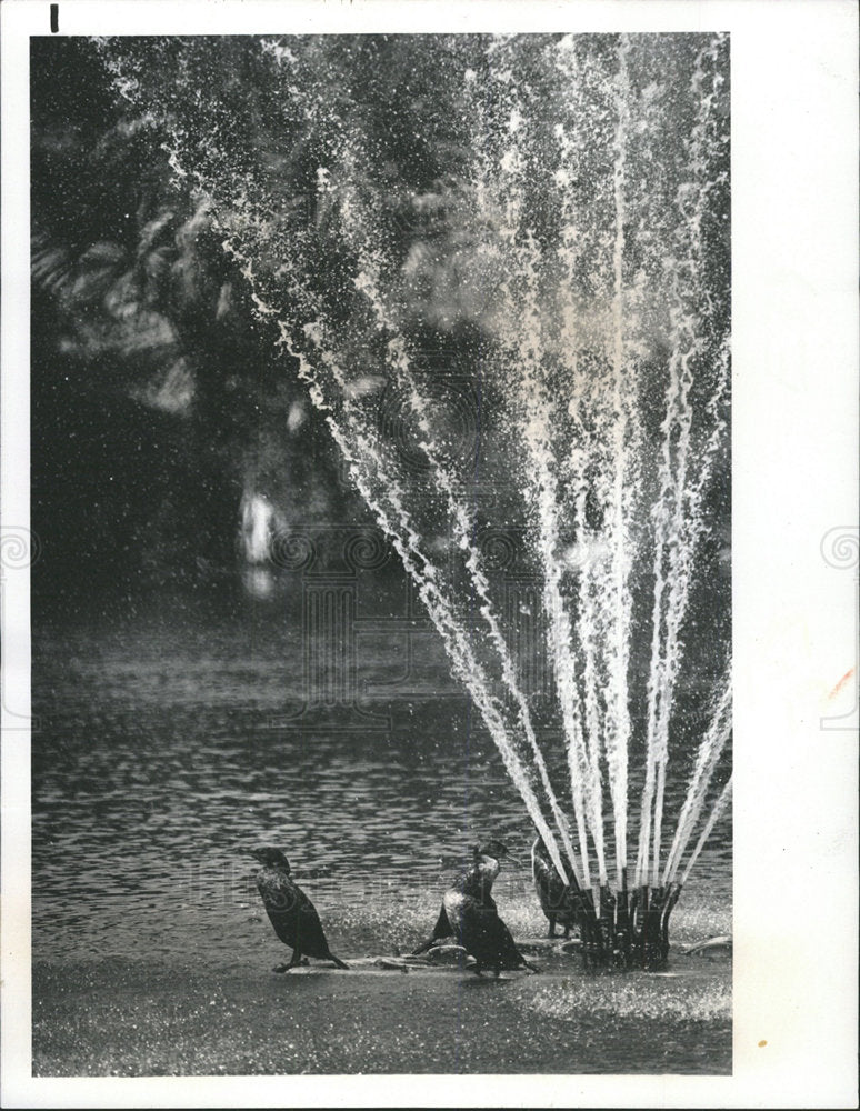 1978 Press Photo Orange lake Fountain Bird Cool Shower  - Historic Images