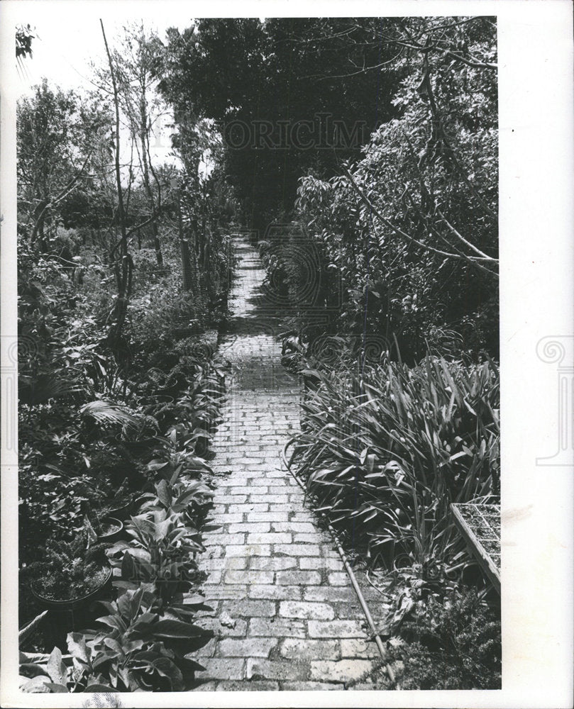 1981 Press Photo Suncoast Botanical garden Anderson  - Historic Images