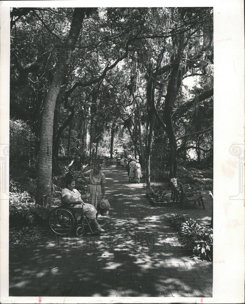 1966 Press Photo Anderson garden Florida Power Corp  - Historic Images