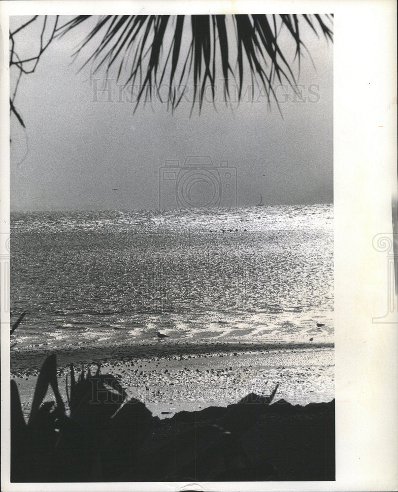 1972 Press Photo Winter Glistens Tampa Bay beauty scene - Historic Images
