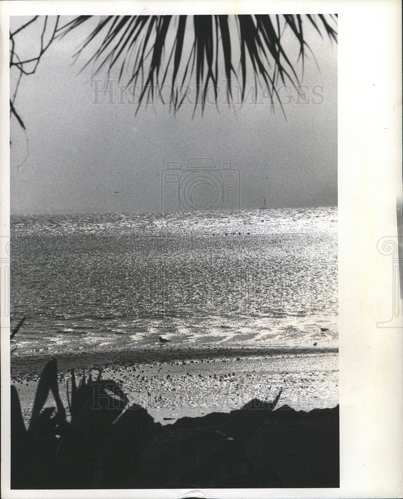 1972 Press Photo Winter Glistens Tampa Bay beauty scene - Historic Images