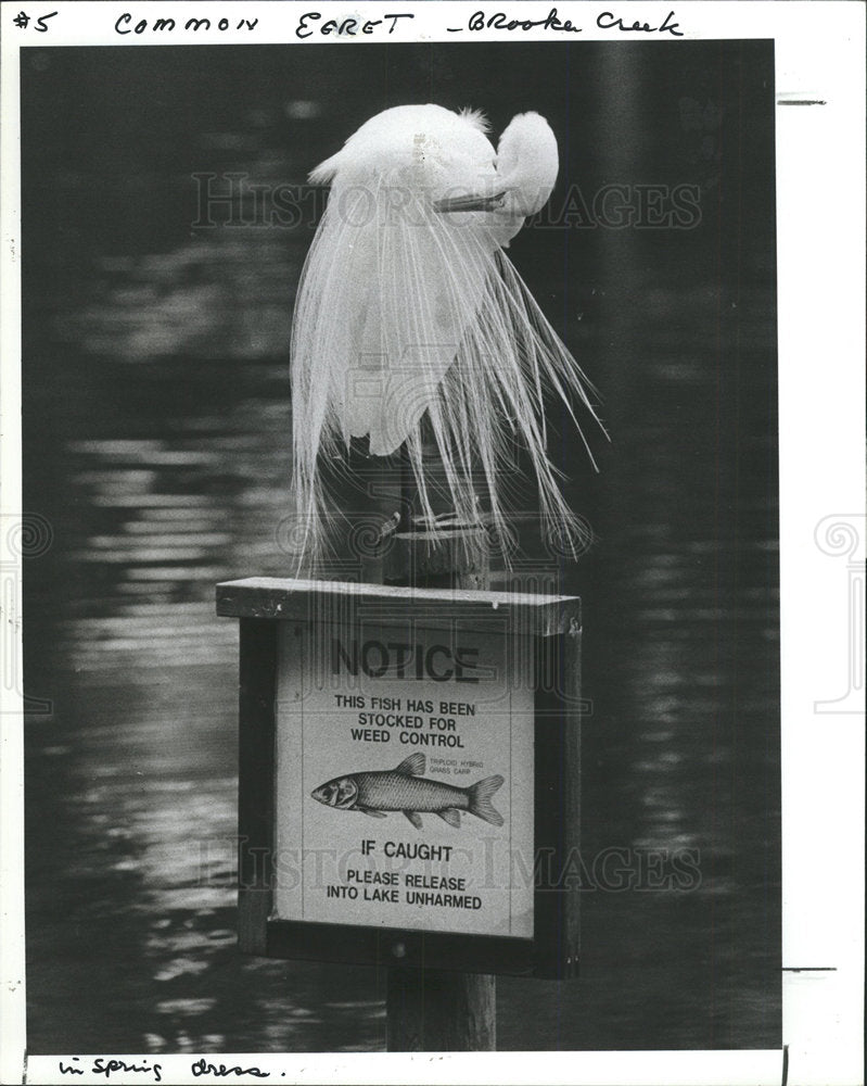 1987 Press Photo Pinellas County Park  - Historic Images